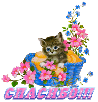 Картинка для новости